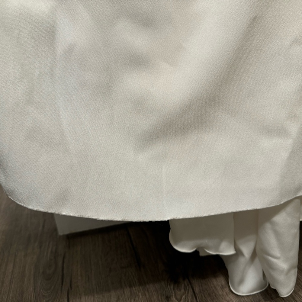 PRONOVIAS Wedding Dress “PARIA”  Size 12 - Picture 17 of 17